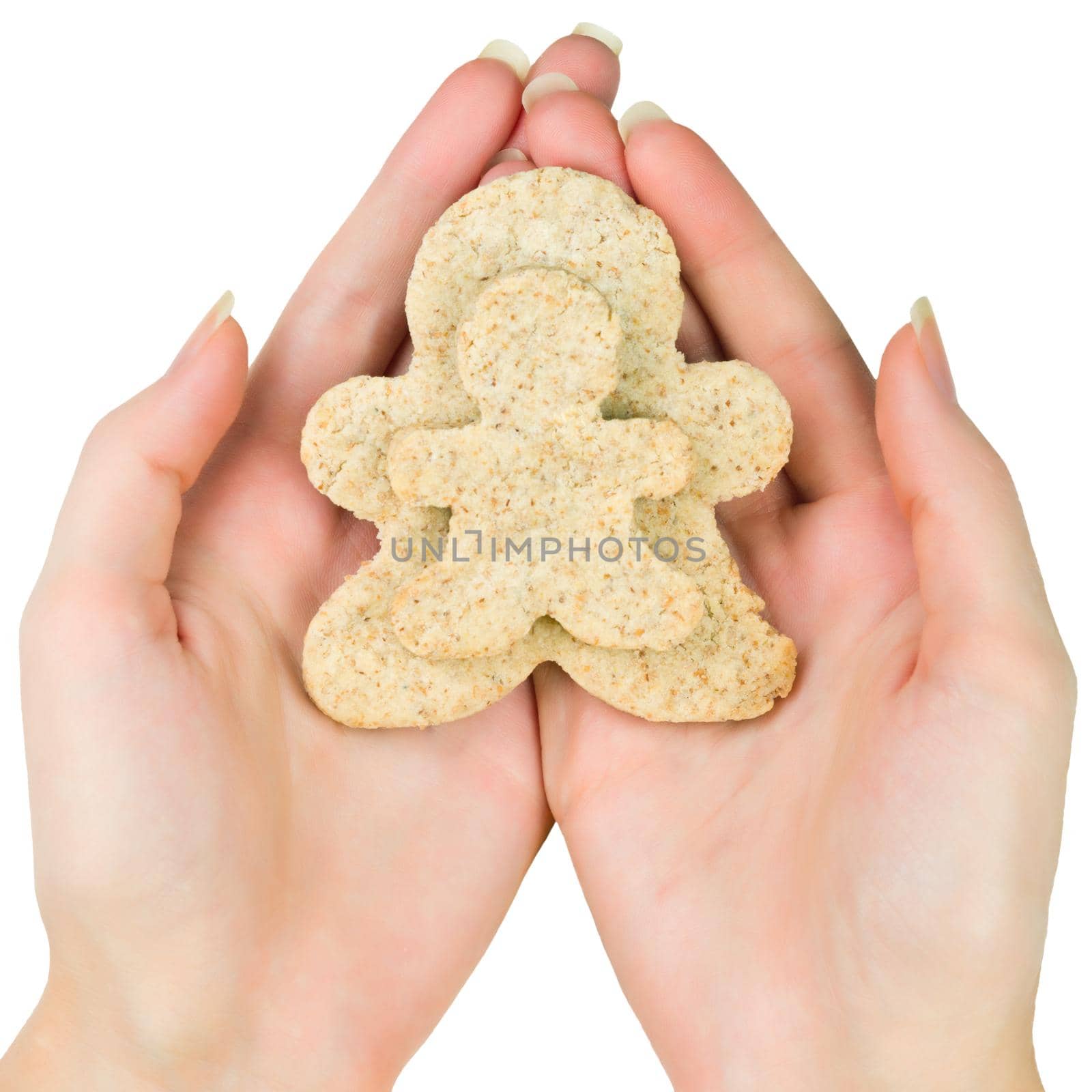 Woman hands holding two gingerbread men cookie isolated on white background. Christmas biscuits