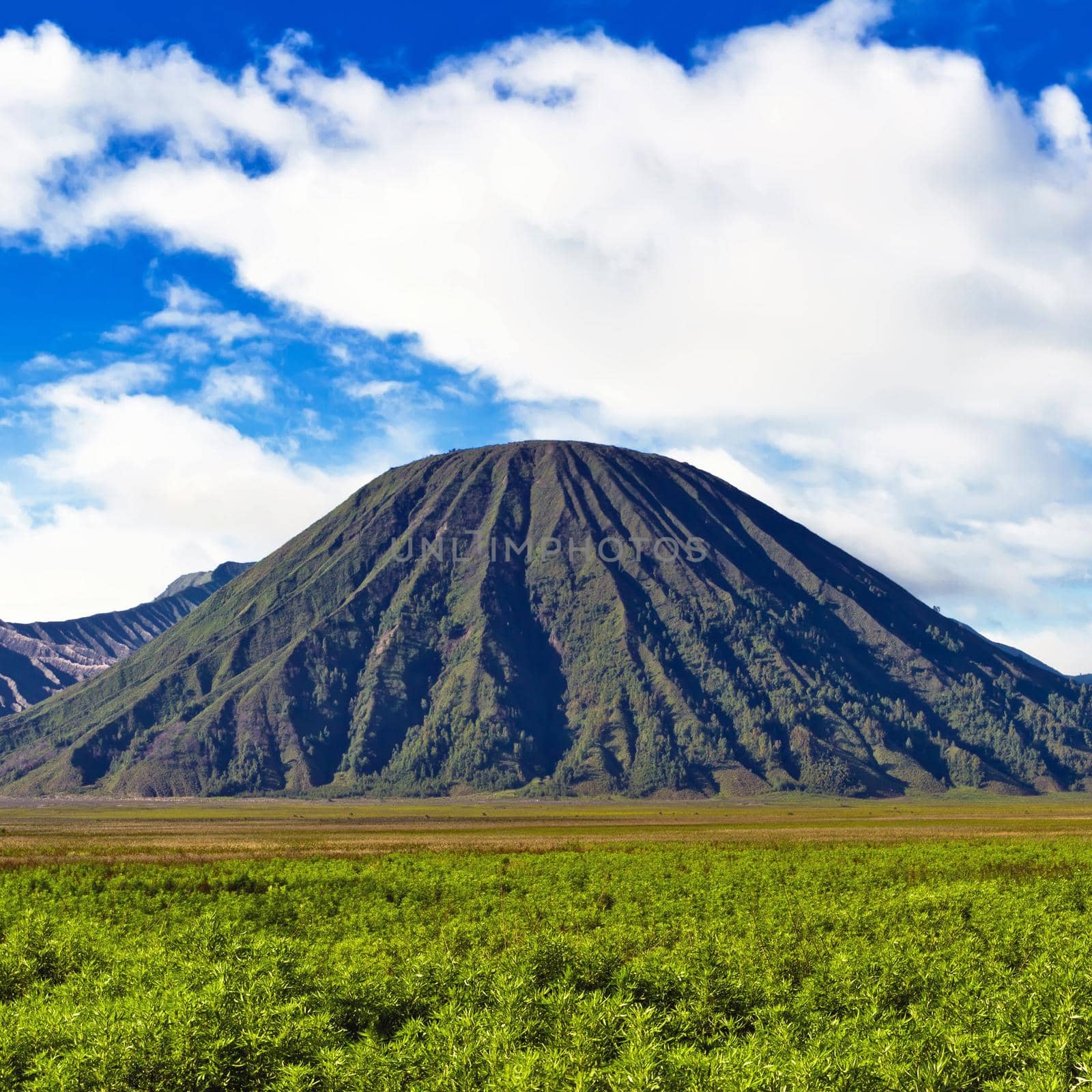 Volcano against blue sky with clouds. Bromo Tengger Semeru Natio by dmitryz