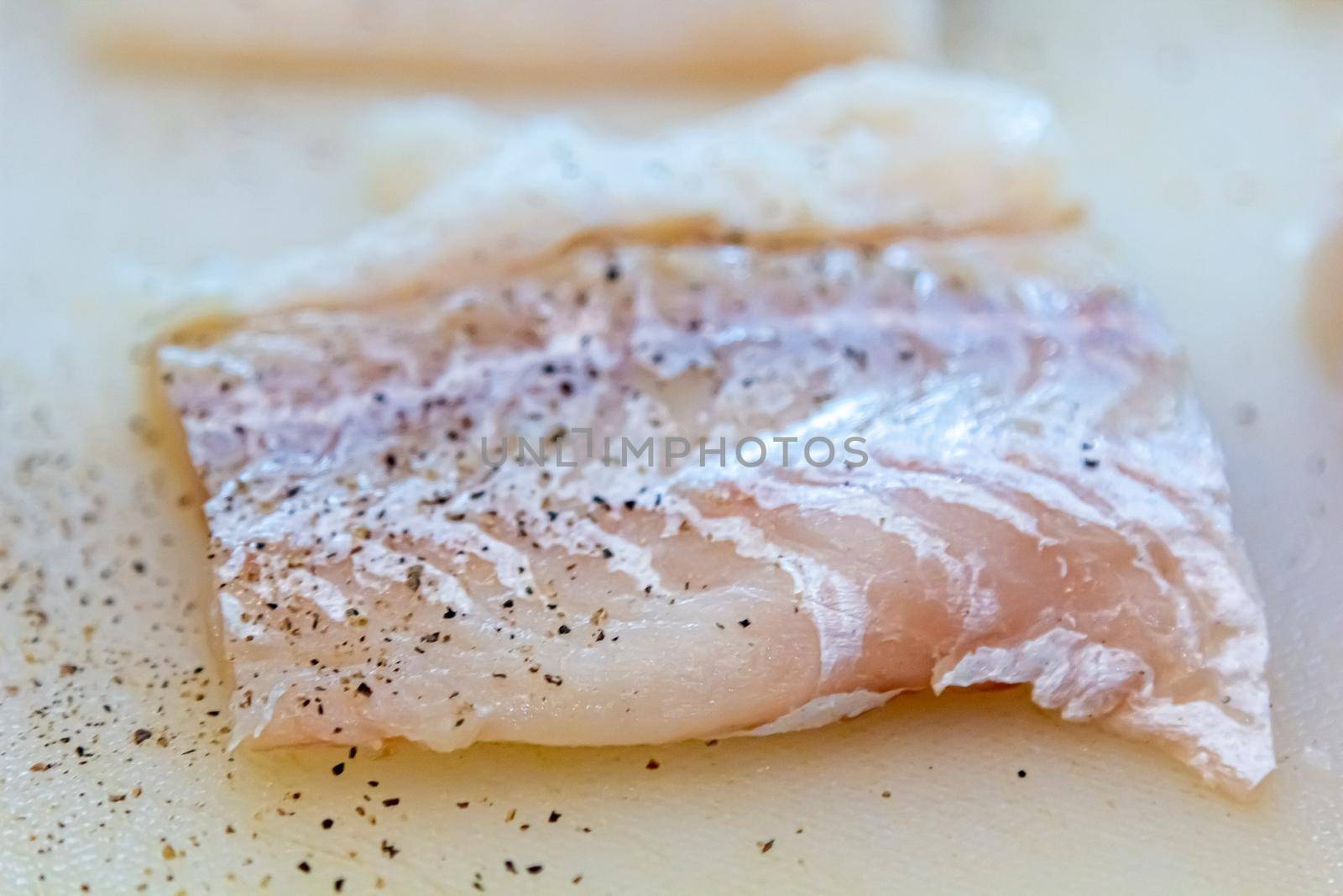 cut of fresh raw zander filet isolated on white background, top view.