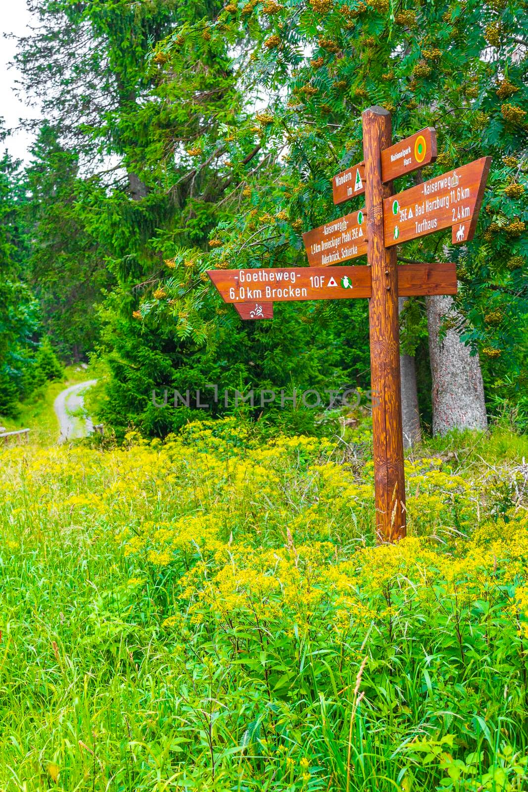 Lower Saxony Germany 17. August 2013 Forest landscape trekking path and information and direction board sign at Brocken mountain peak in Harz mountains Wernigerode Saxony-Anhalt Germany