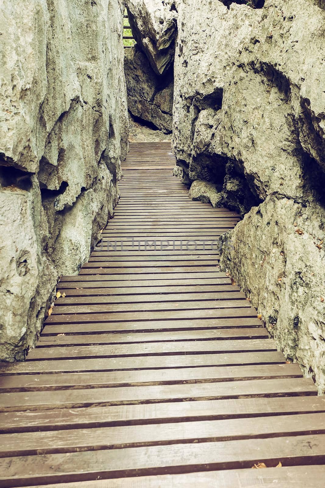 hiking path in the mountains. Wooden trail in mountains. Toned image.