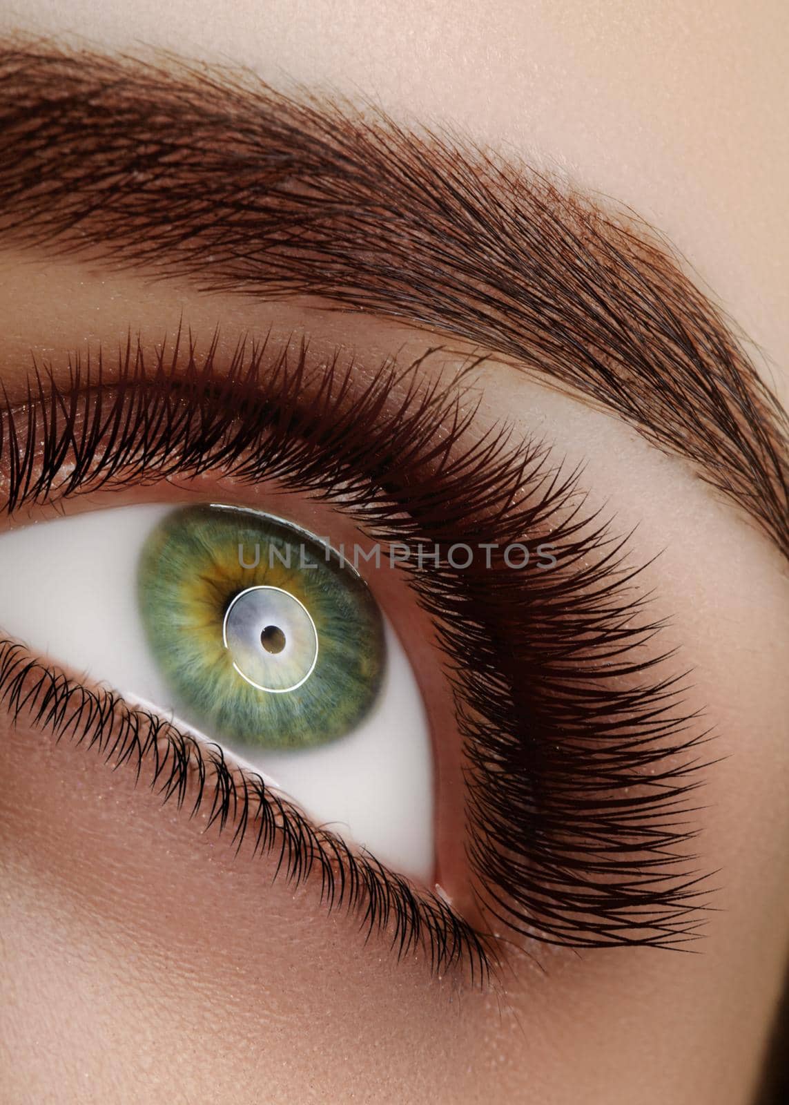 Close-up macro beautiful female eye with extreme long eyelashes, perfect shapes of eyebrows. Lash design, natural health lashes. Clean vision