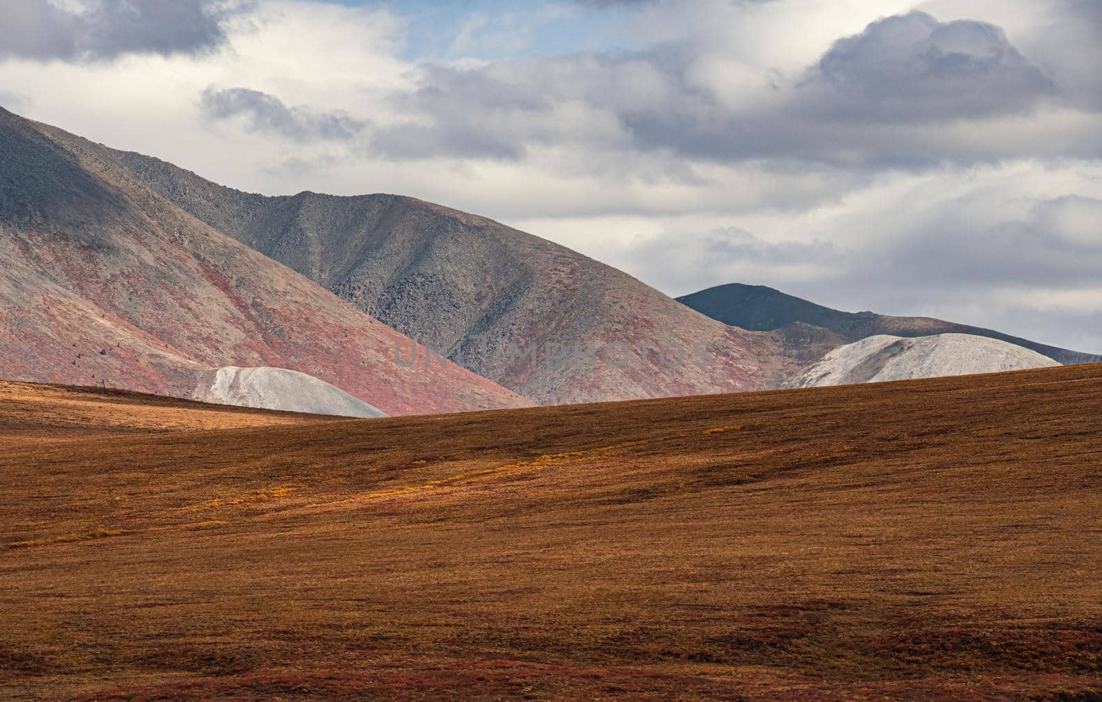 Yukon Mountain Wilderness Northern Canada