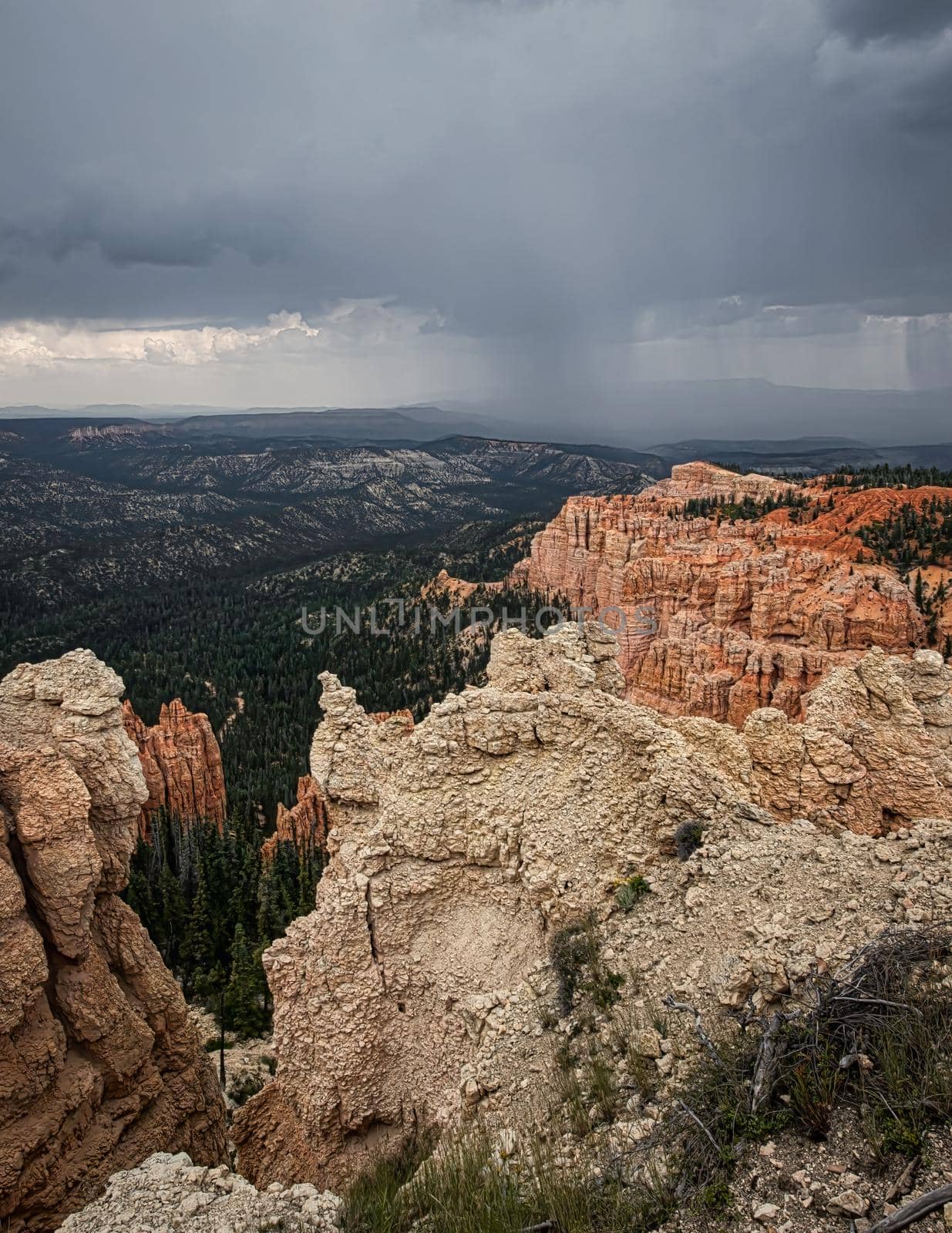 Storms over Bryce Canyon by lisaldw