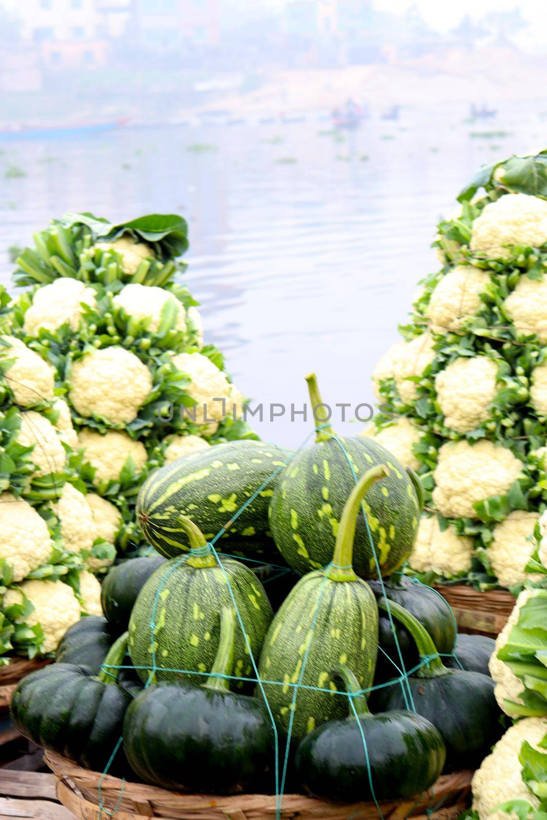 fresh and raw cauliflower stock on boat for sell