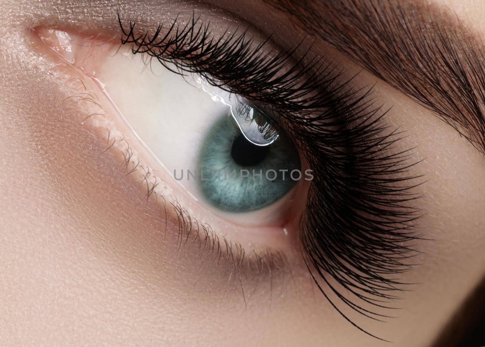 Beautiful macro shot of female eye with extreme long eyelashes and black liner makeup. Perfect shape make-up and long lashes. Cosmetics and make-up. Closeup macro shot of fashion eyes visage