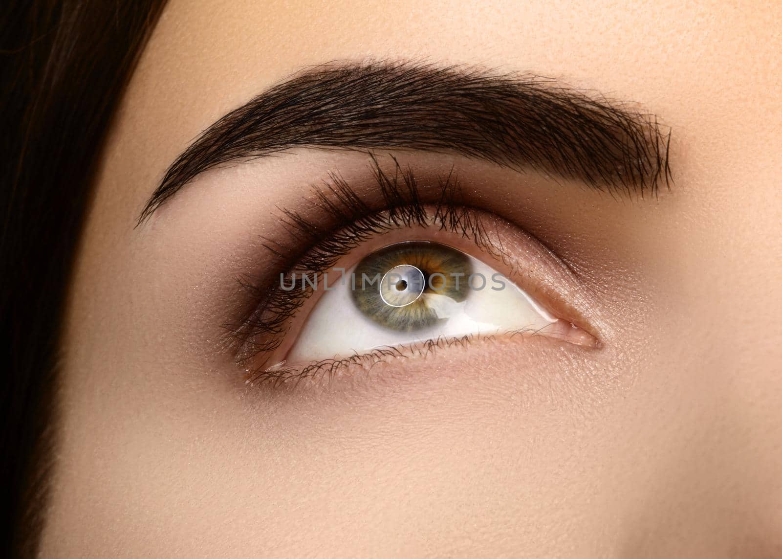 Close-up Beauty of Woman's eye. Sexy smoky Eyes Makeup with brown Eyeshadows. Perfect strong Shape of Eyebrows by MarinaFrost