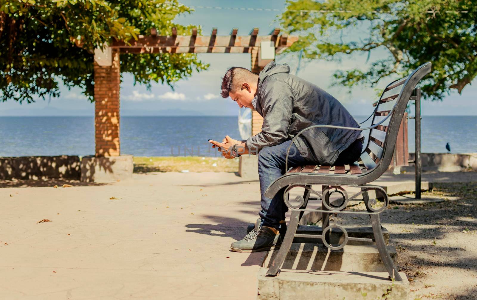 man sitting on a bench checking his phone, young man checking his cell phone sitting on a bench