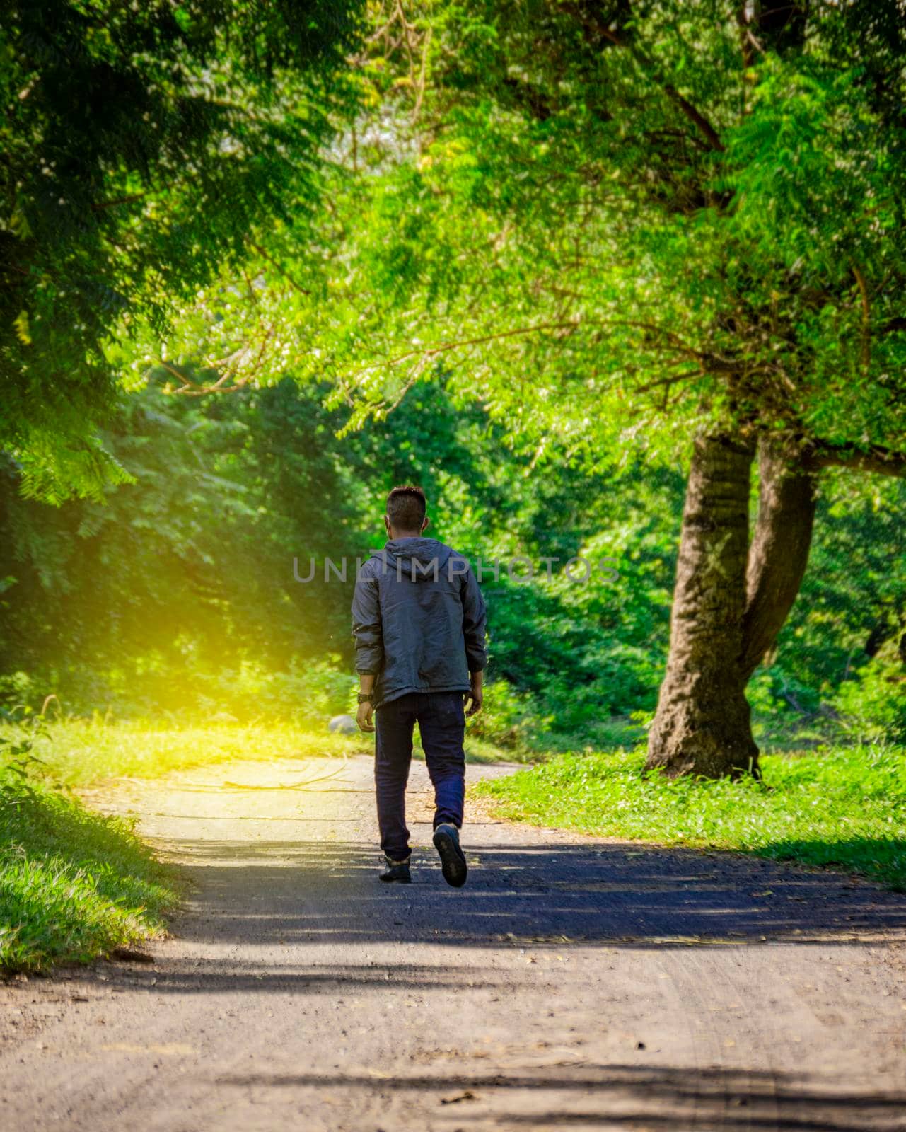 Latin man walking on a nice road, rear view of a young man walking on a road surrounded by trees