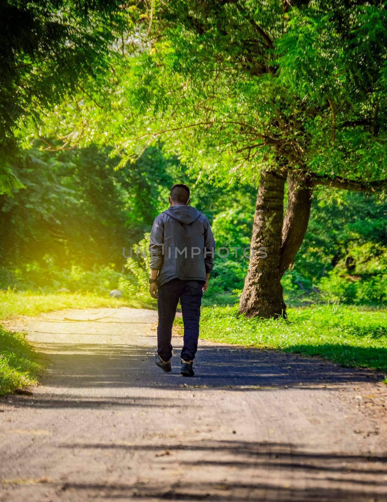 Latin man walking on a nice road, rear view of a young man walking on a road surrounded by trees by isaiphoto