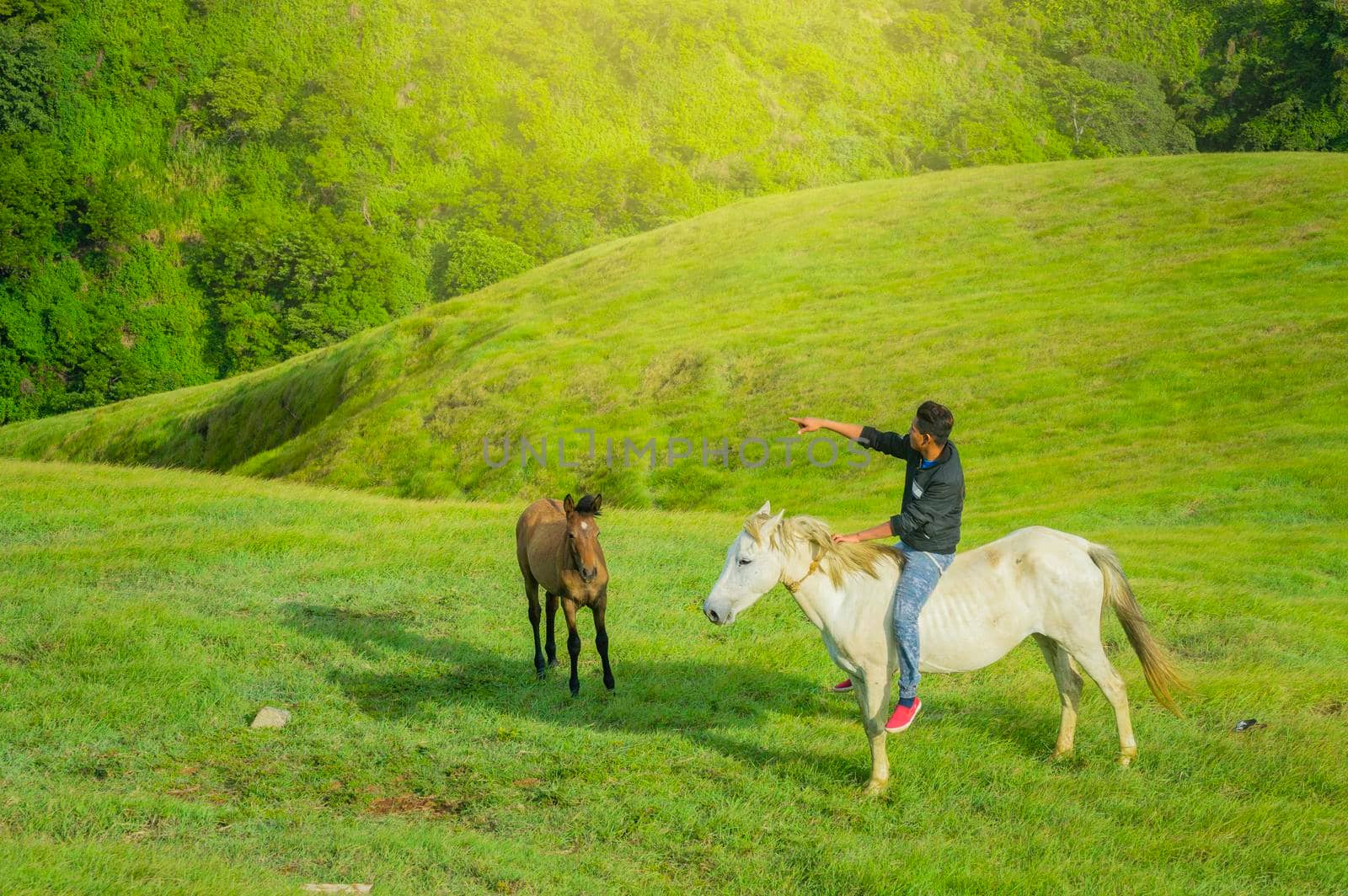 Young man in the field riding horse, A man riding horse in the field and pointing, riding a beautiful horse in the field