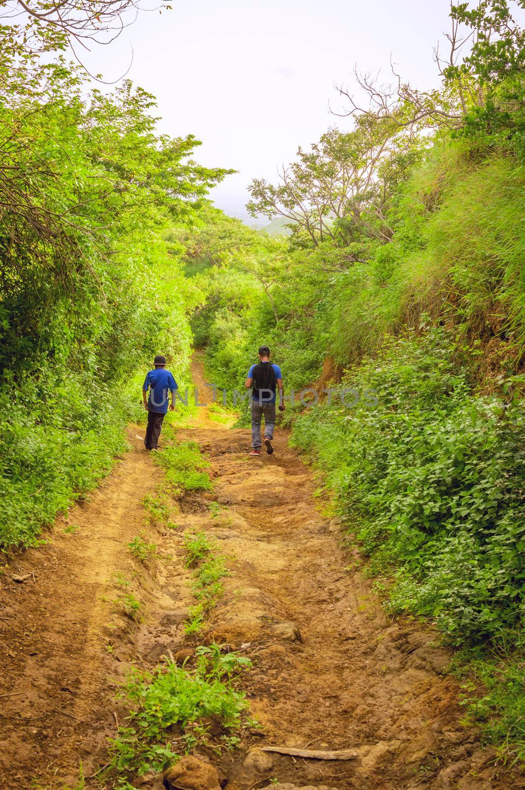 Two men on a path through the countryside, Two young men walking along a path with copy space by isaiphoto