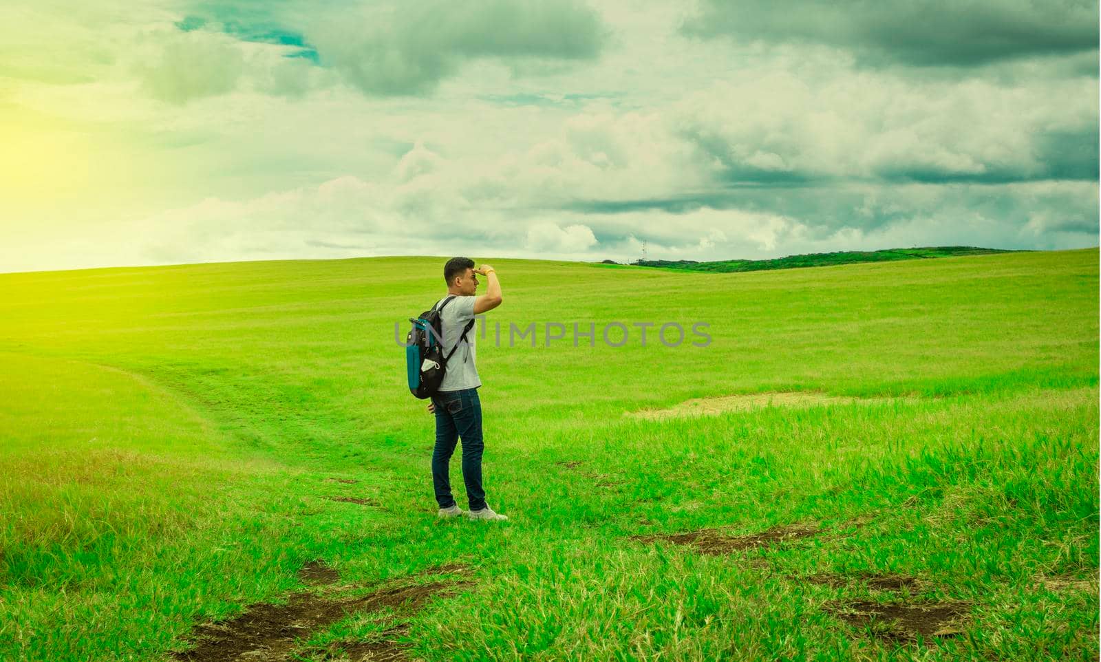 Adventurous man in the field, man with backpack in the field looking