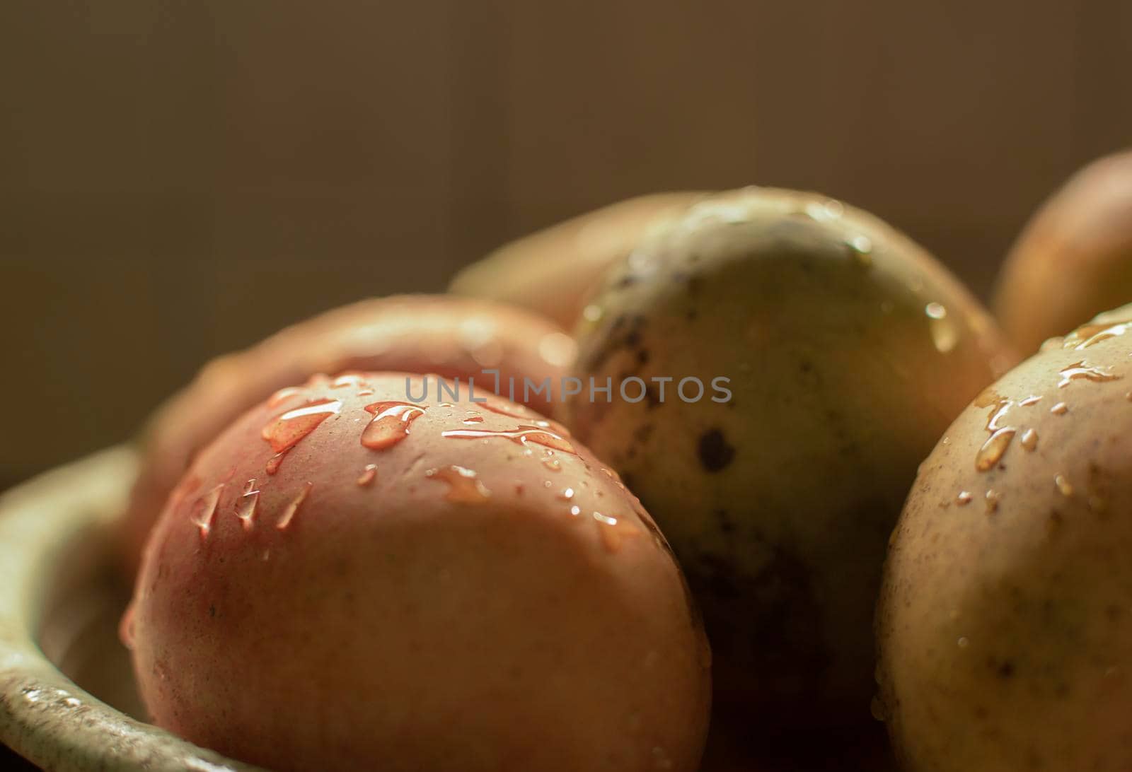 Close up of mangoes with water drops, fresh mango corduroy with copy space by isaiphoto