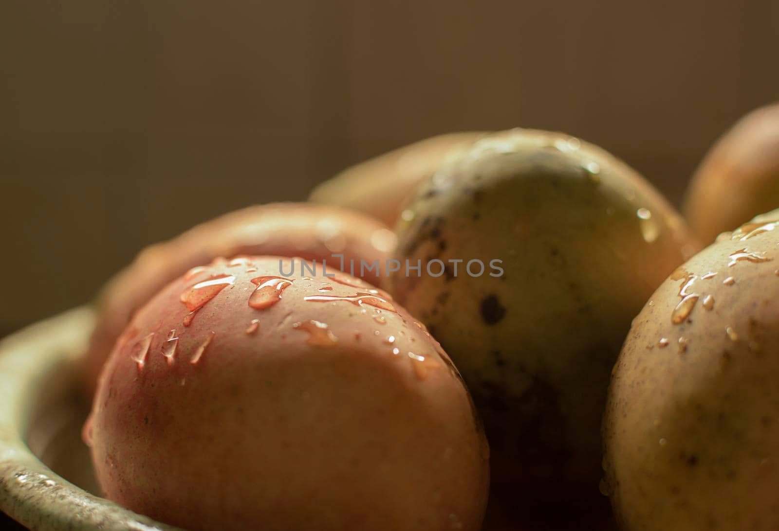 Close up of mangoes with water drops, fresh mango corduroy with copy space