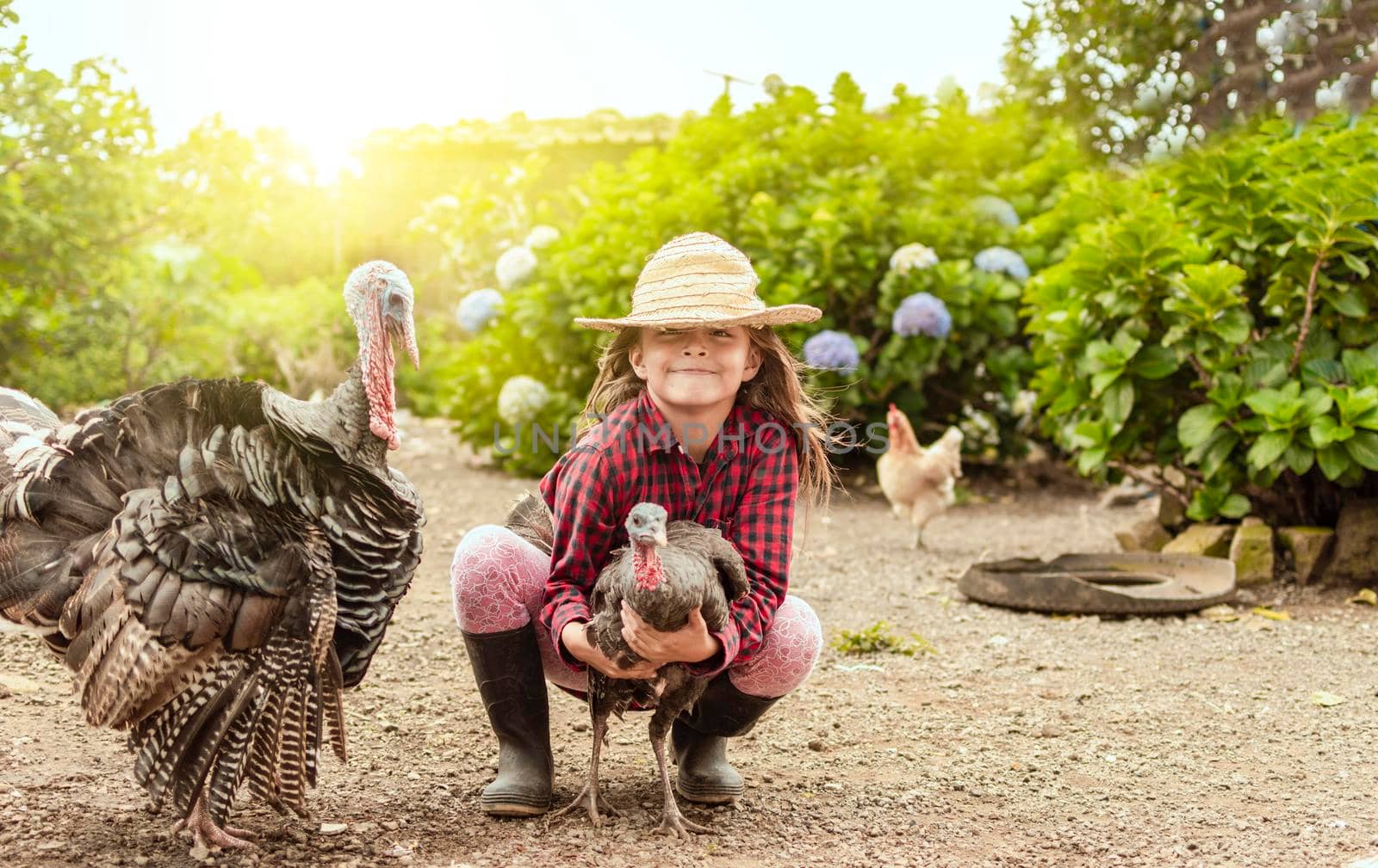 farm girl hugging turkey, farm girl holding turkeys at sunset, girl on the farm with turkeys, Caring for turkeys and domestic animals