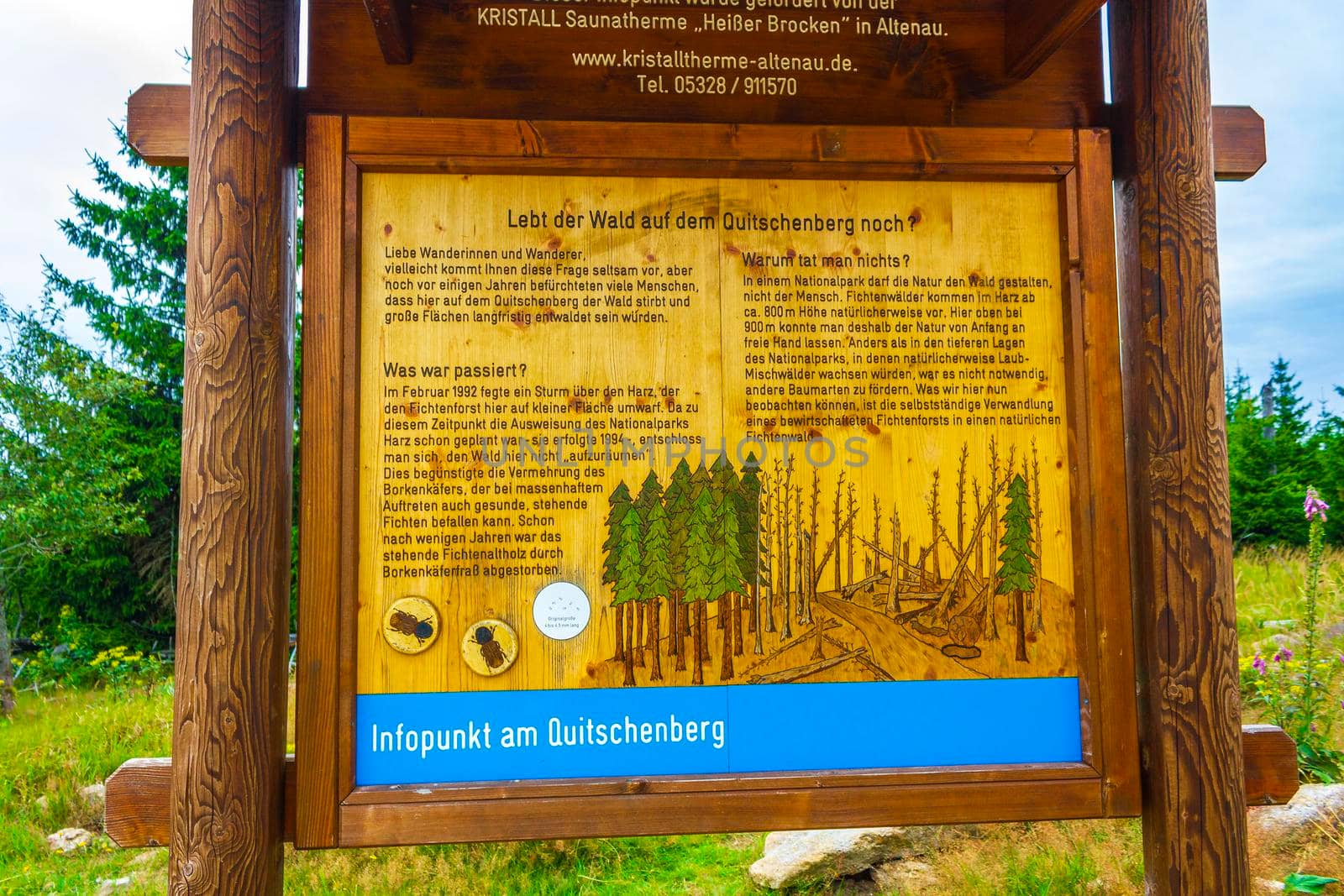 Lower Saxony Germany 17. August 2013 Forest landscape trekking path and information and direction board sign at Brocken mountain peak in Harz mountains Wernigerode Saxony-Anhalt Germany