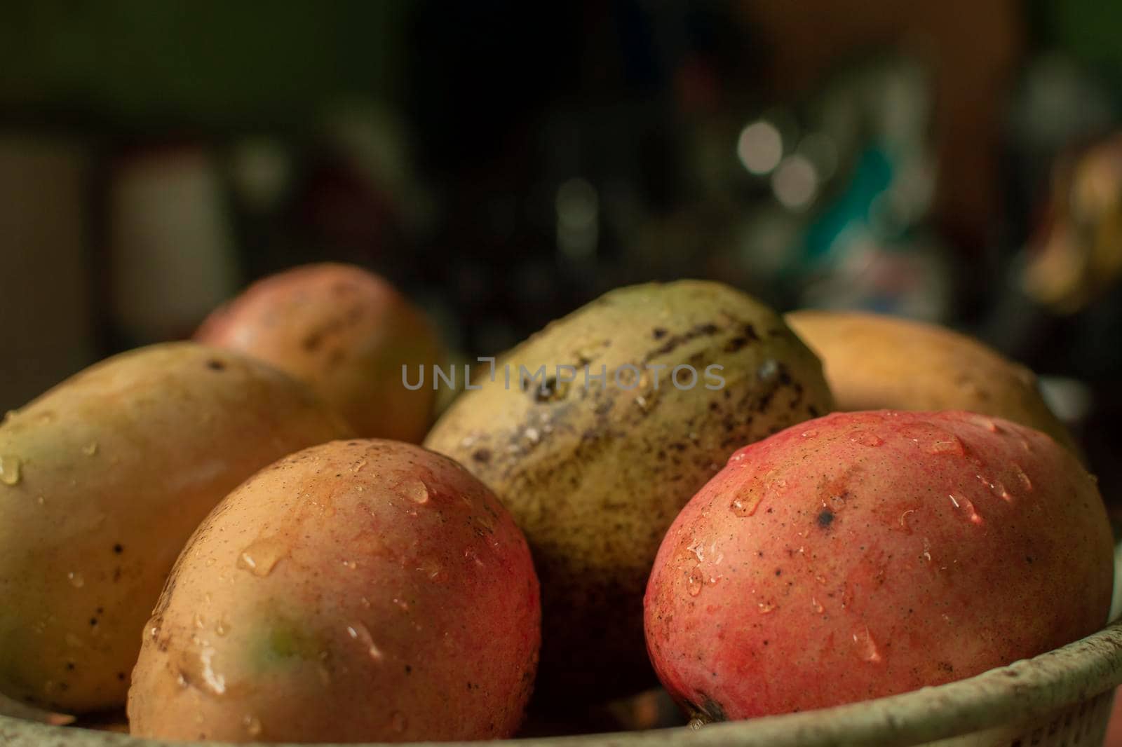 Close up of mangoes with water drops, fresh mango corduroy with copy space