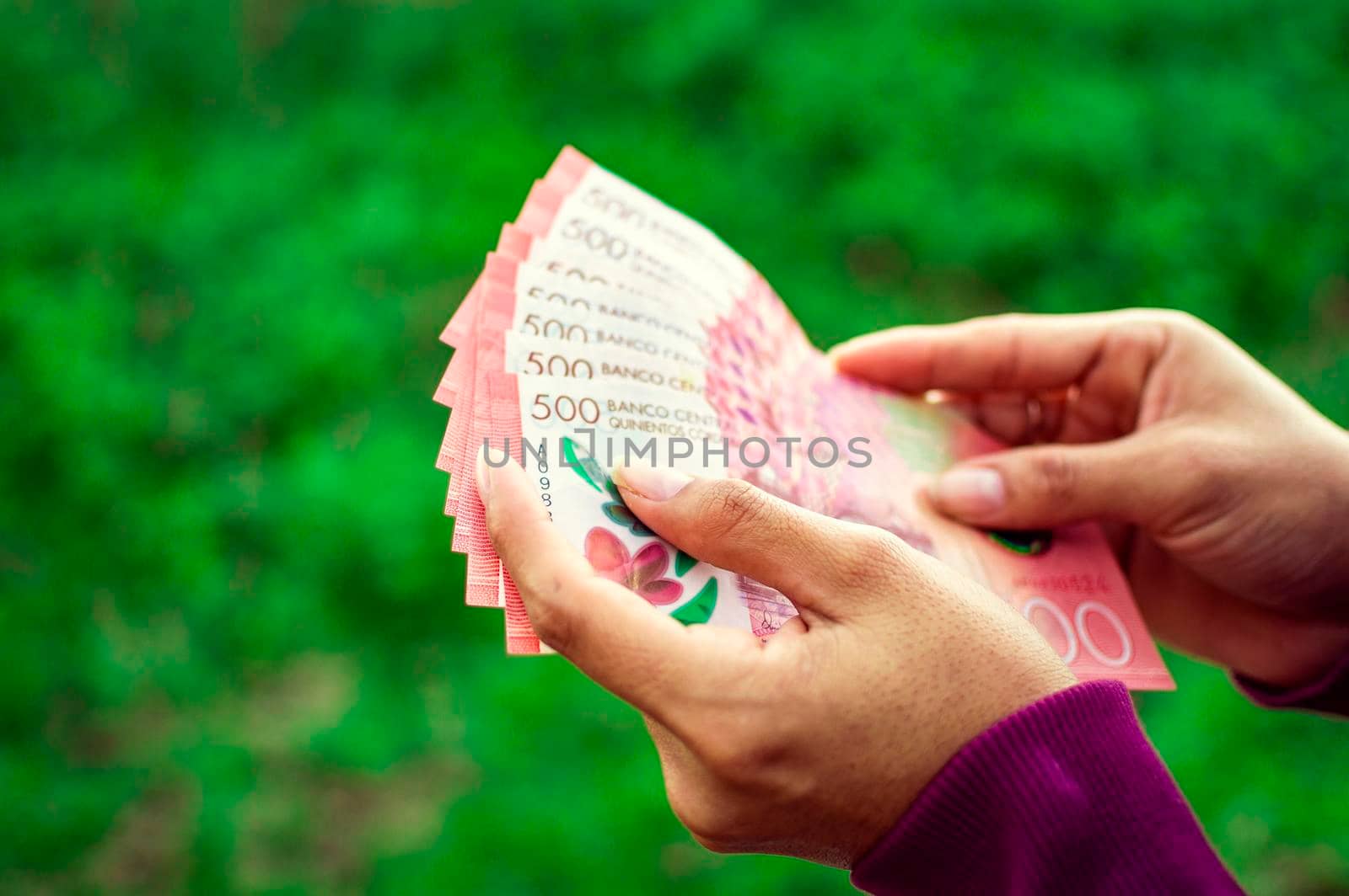 people counting banknotes, Nicaraguan 500 cordobas banknotes