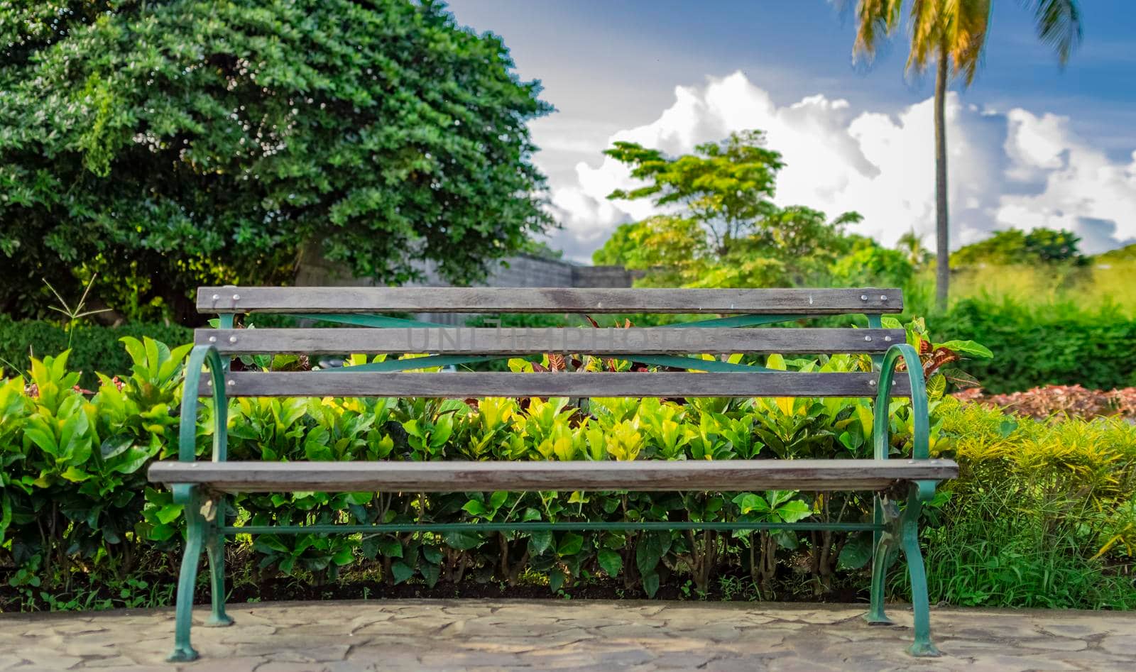 A lonely bench in a park, wooden bench in a park with blue sky, wooden bench in a garden