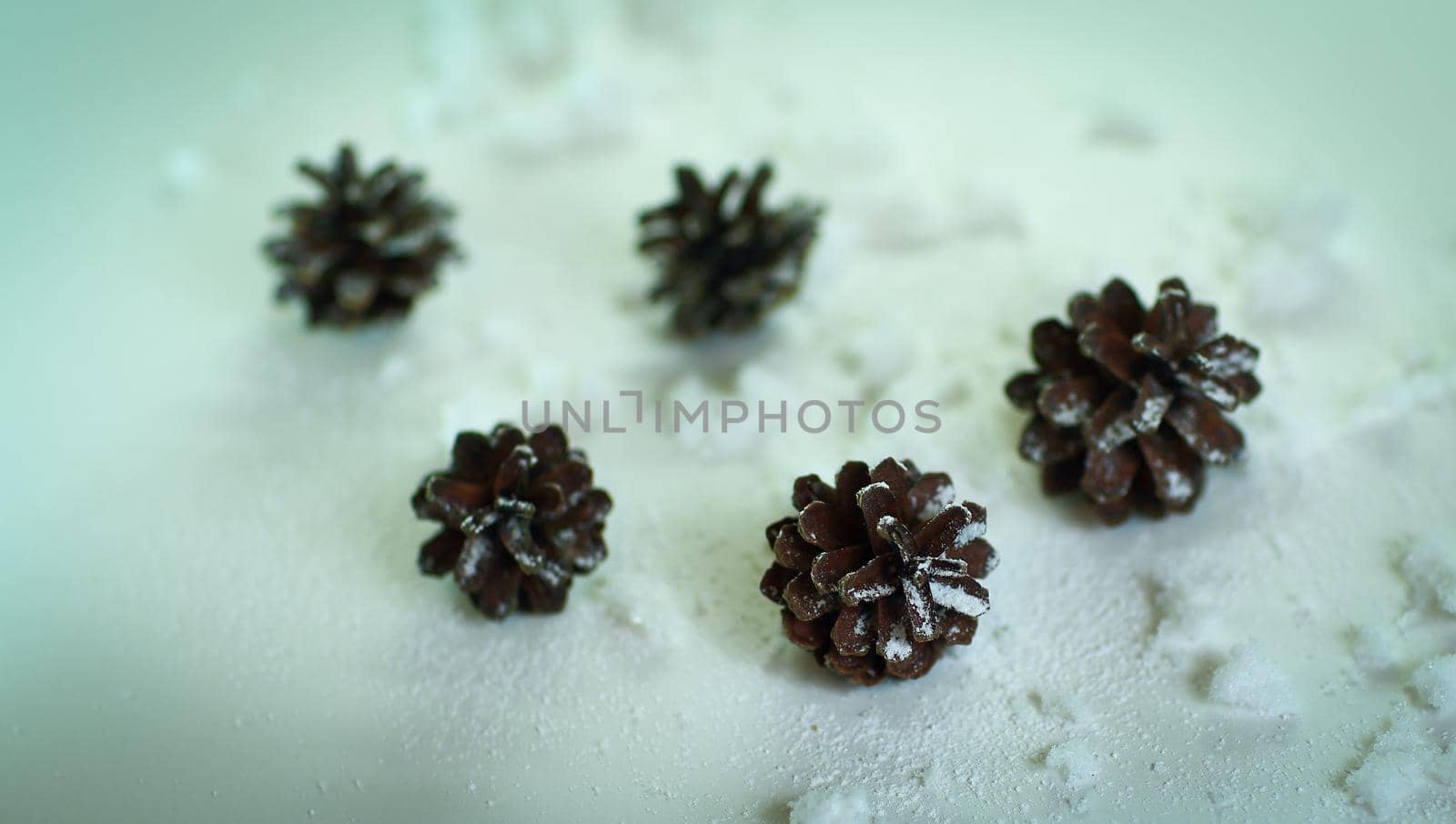 Christmas tree cones on bright festive background.photo with copy space