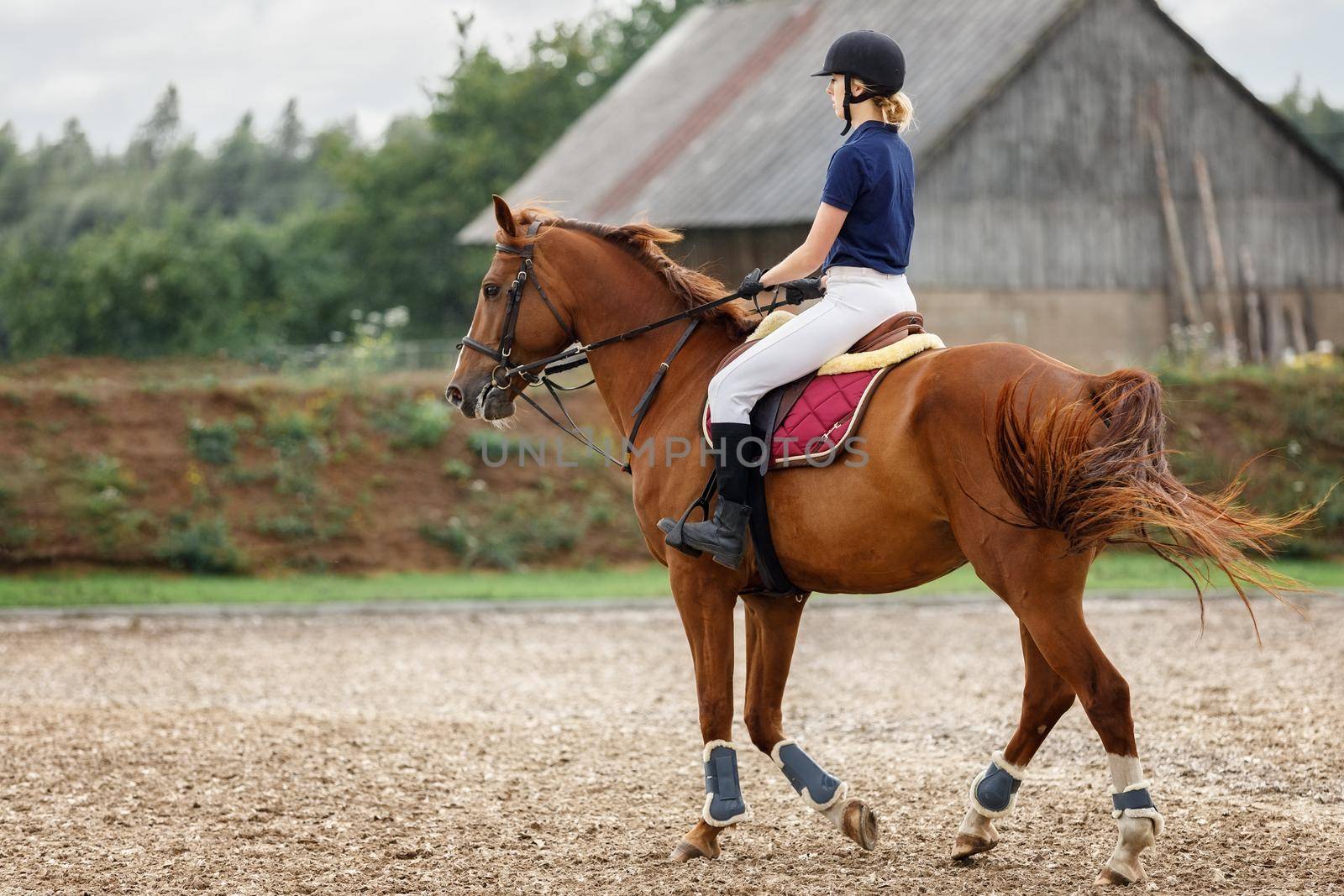 A young woman in a blue shirt and white pants with a black helmet rides a cherry horse in a village stud.