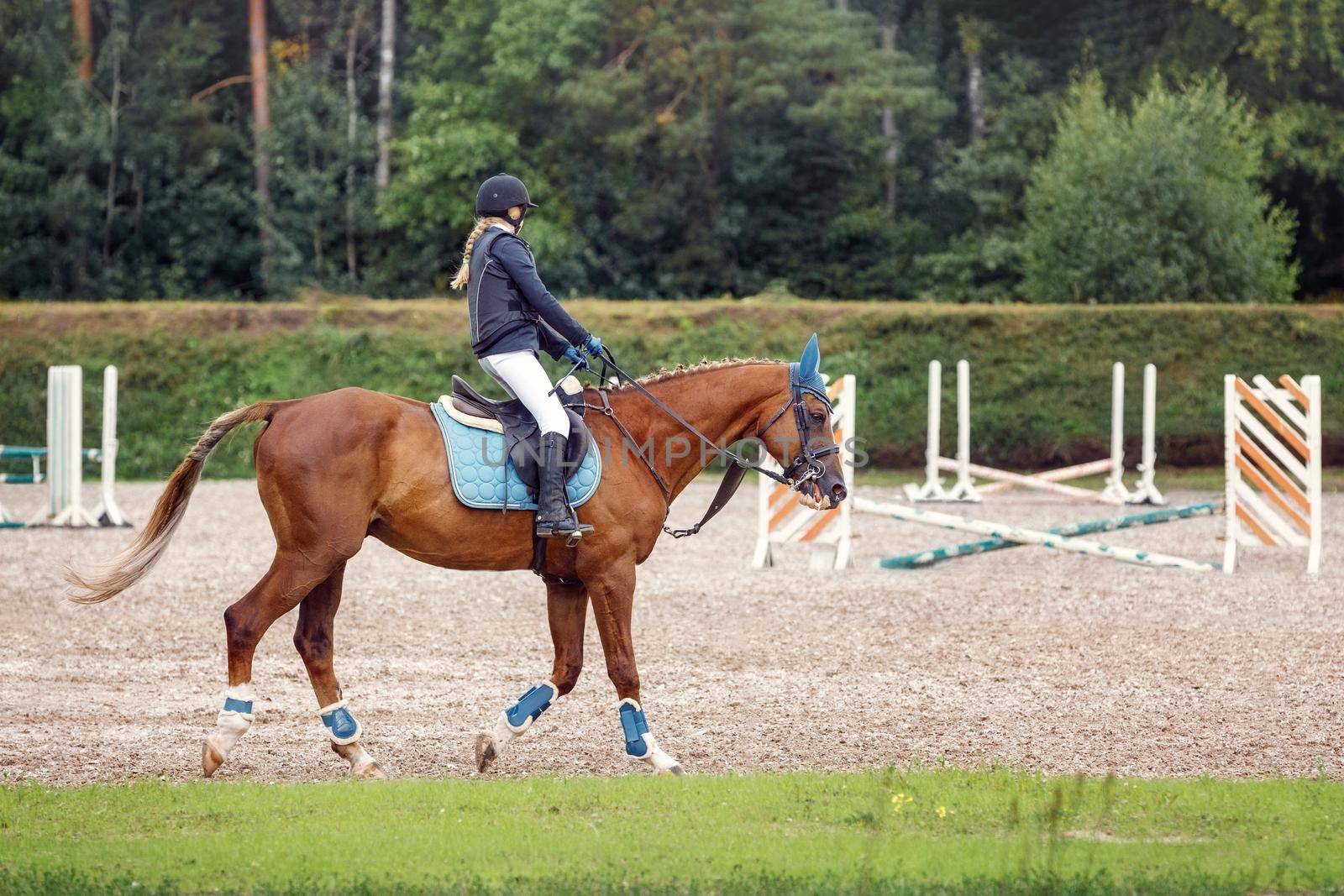 Training process. Young teenage girl riding bay trotting horse on sandy arena practicing at equestrian school. Green nature outdoors horizontal image in summertime.