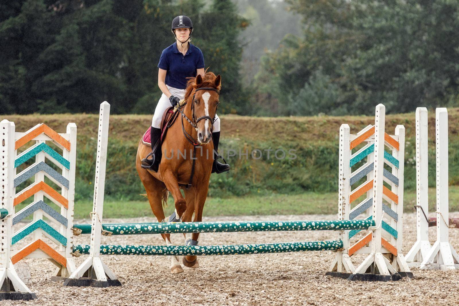 Young female jockey on horse leaping over hurdle.