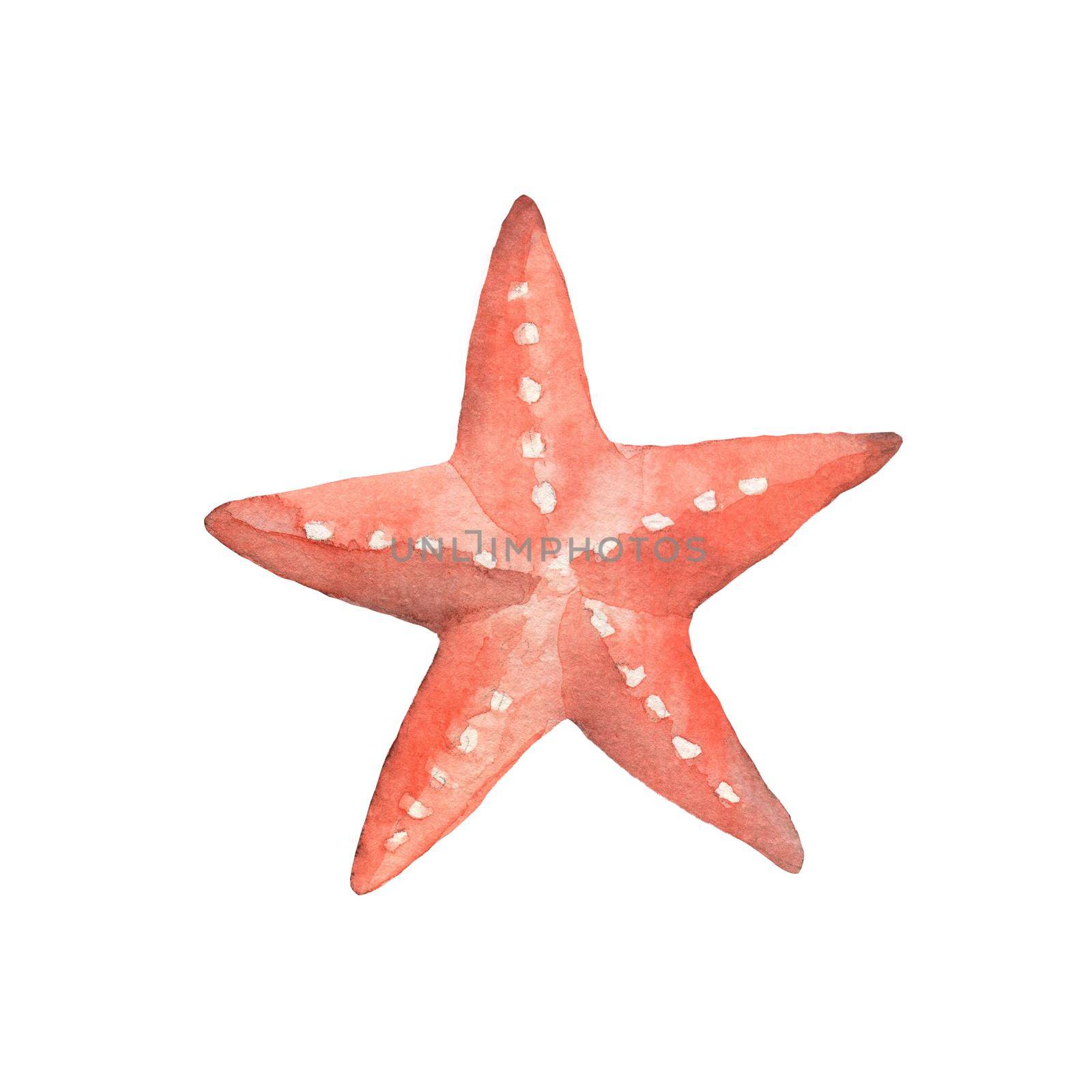 Watercolor sketch of starfish. Hand drawn illustration isolated on white.