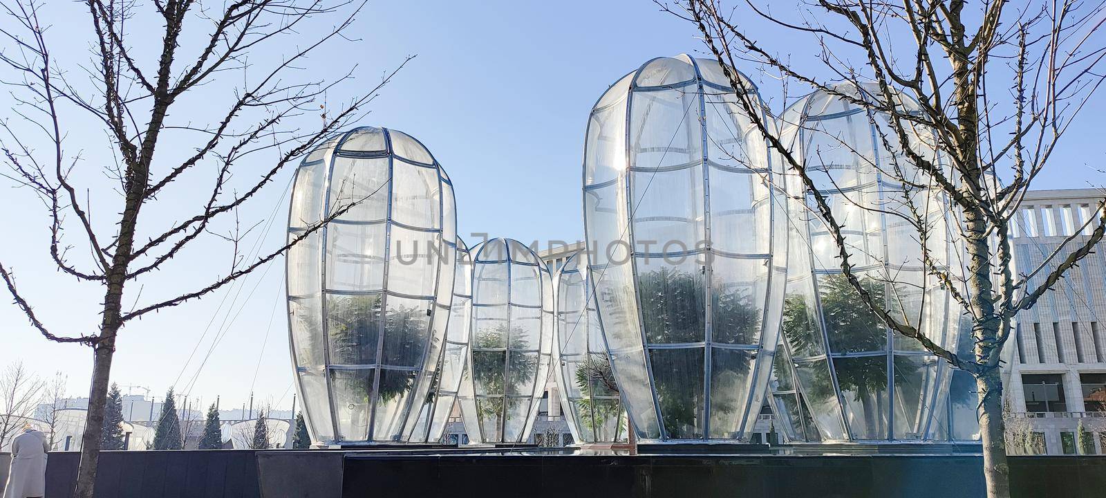 plastic greenhouse for pablic park trees, for winter season by Desperada