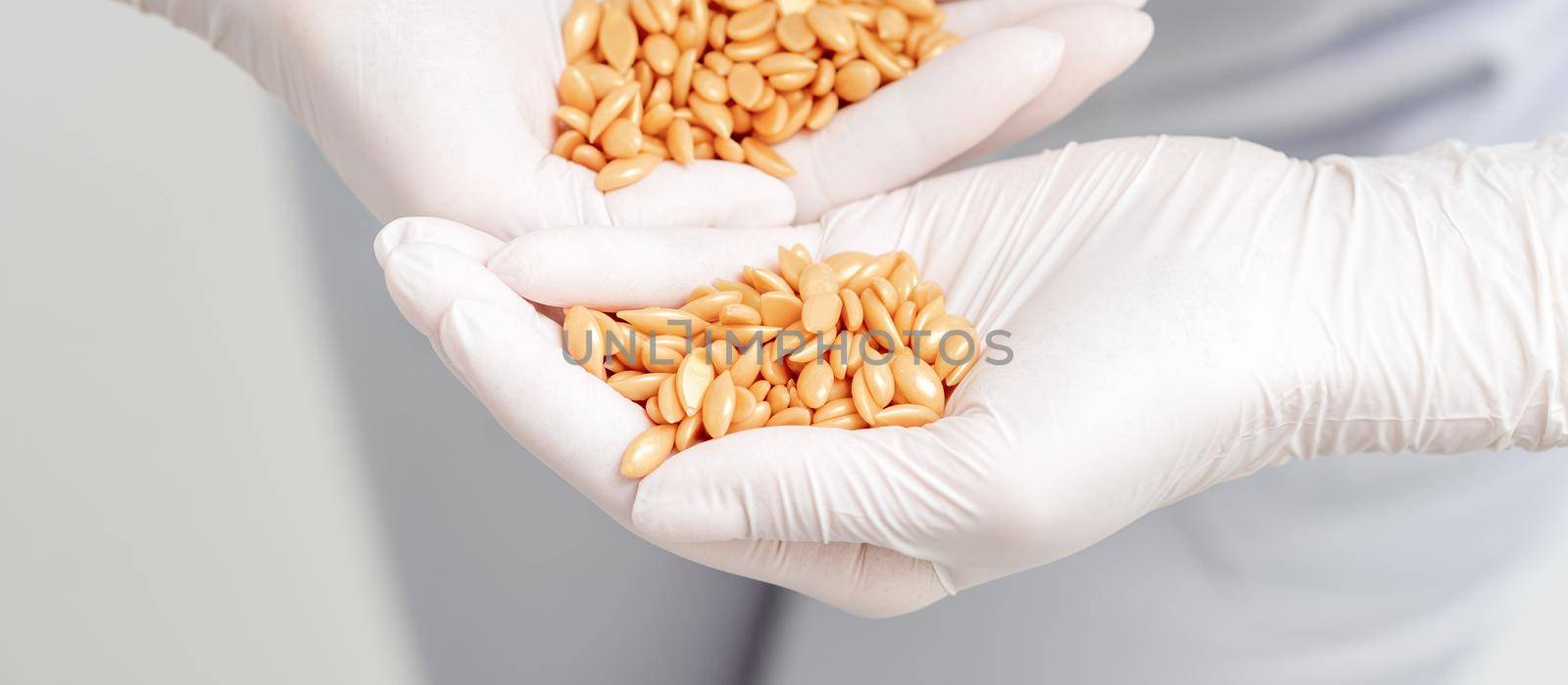 Hard wax beans or seeds in palms of human hands in protective gloves