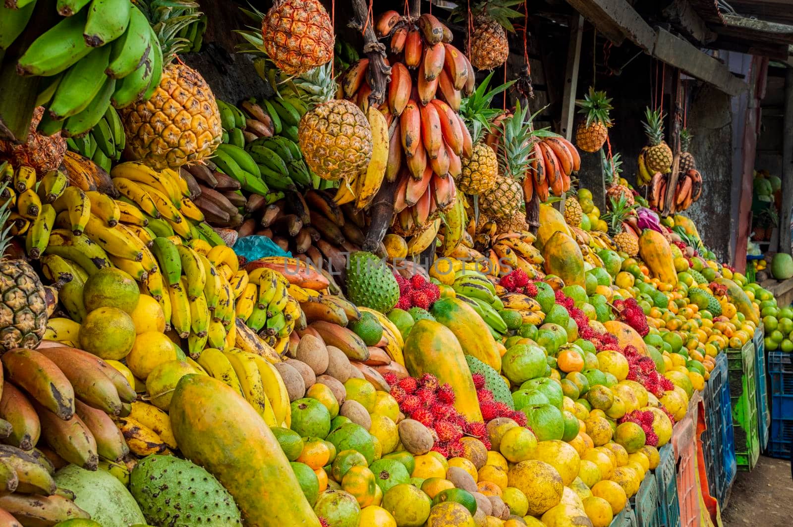 Shelf of many fresh fruits, fresh fruit stall, concept of fruits and healthy food, sale of various fruits