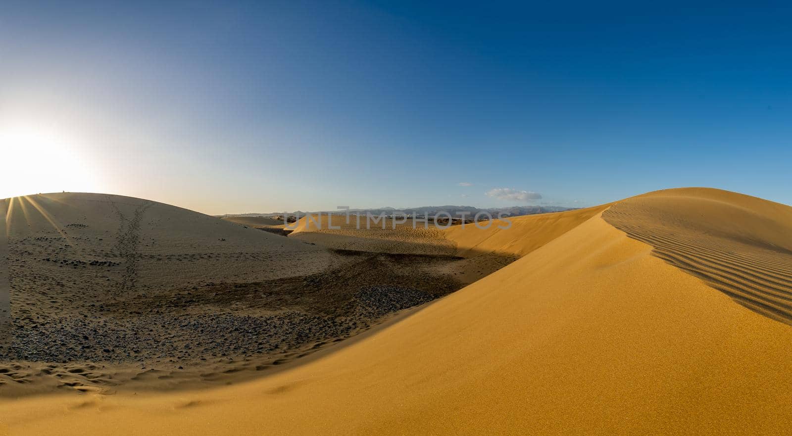 Sand dunes in the famous Maspalomas natural beach. Gran Canaria. Spain with golden sand and visited by many tourists all year round