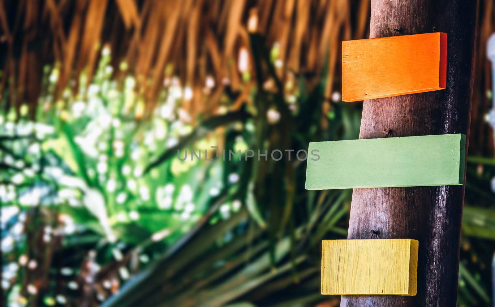 Palm trees background restaurant advertisement sign, beach restaurant sign, beach bar signs,