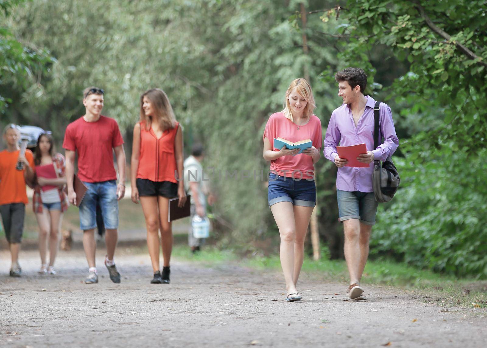 group of College students walking together in the Park.