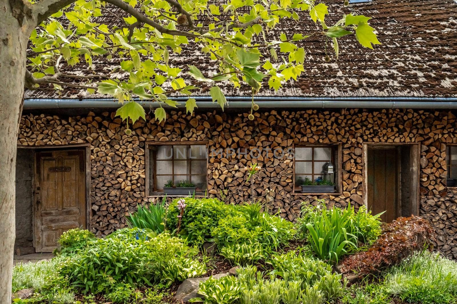 wooden barn in the countryside.