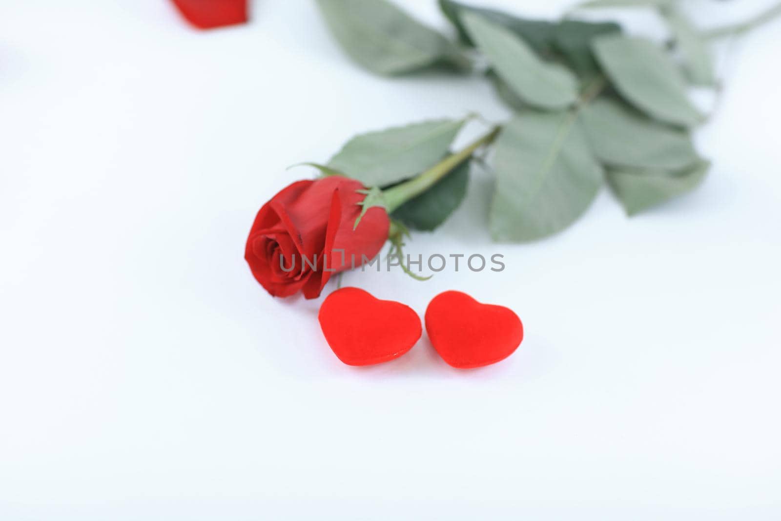 rose and two red hearts on white background.concept of love by SmartPhotoLab