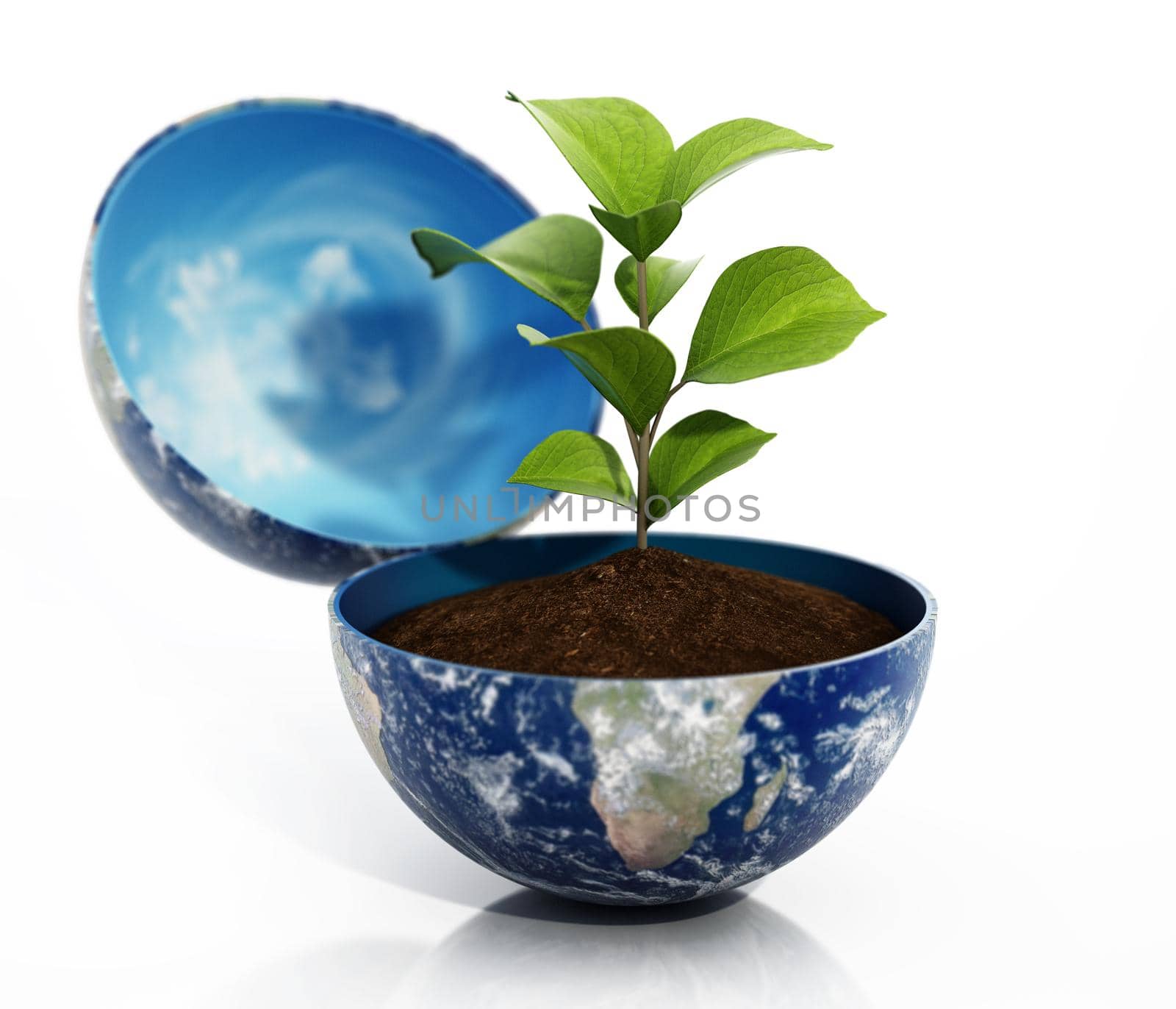 Growing plant inside half opened globe. 3D illustration.