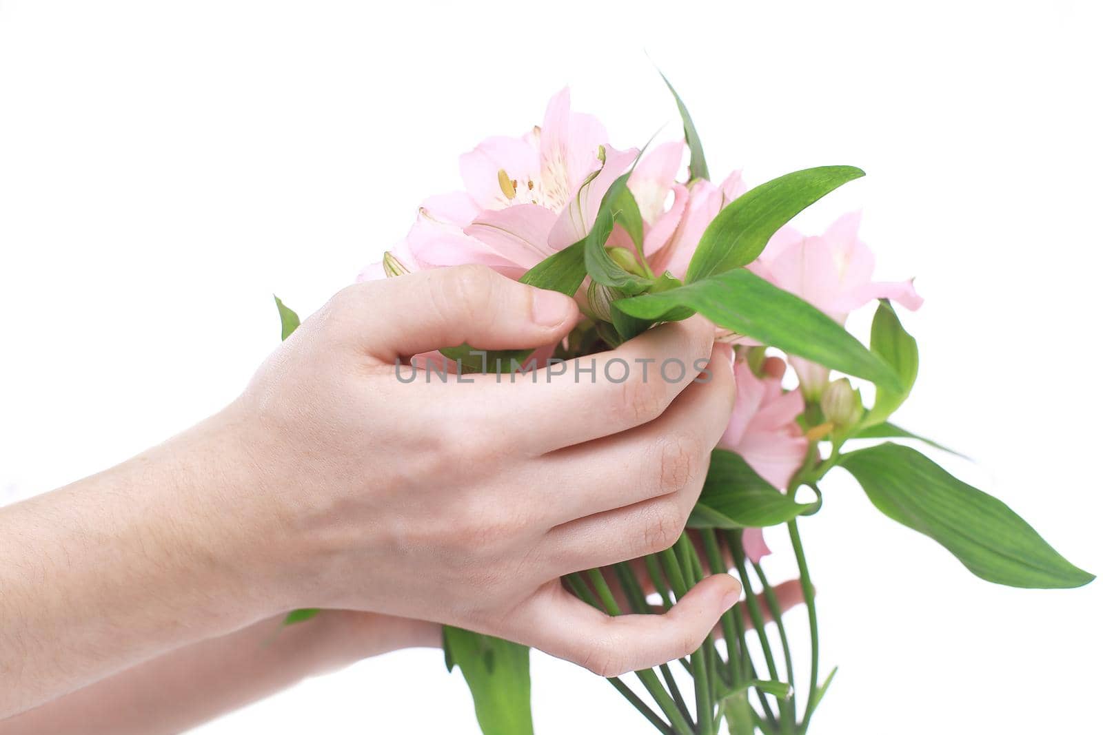 bouquet of flowers in female hands isolated on a light backgrou by SmartPhotoLab