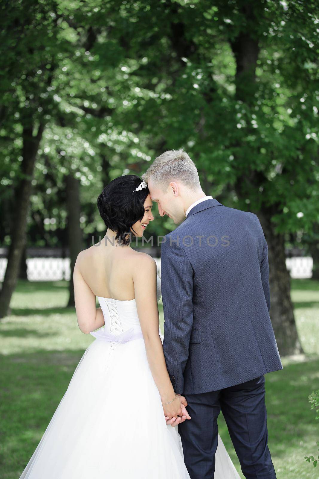 rear view.the bride and groom on a walk in the Park