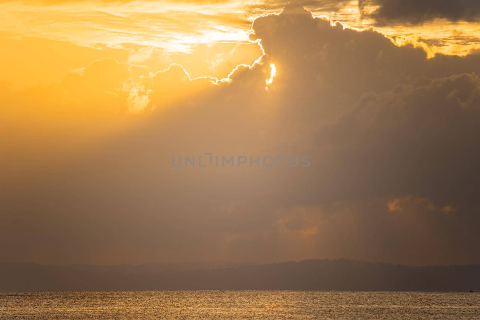 sunrise dusk shot showing a lone mangrove tree in the middle of the ocean on a beach with the sun behind it and the red gold colors of dusk shot in havelock swaraj dweep island andaman india