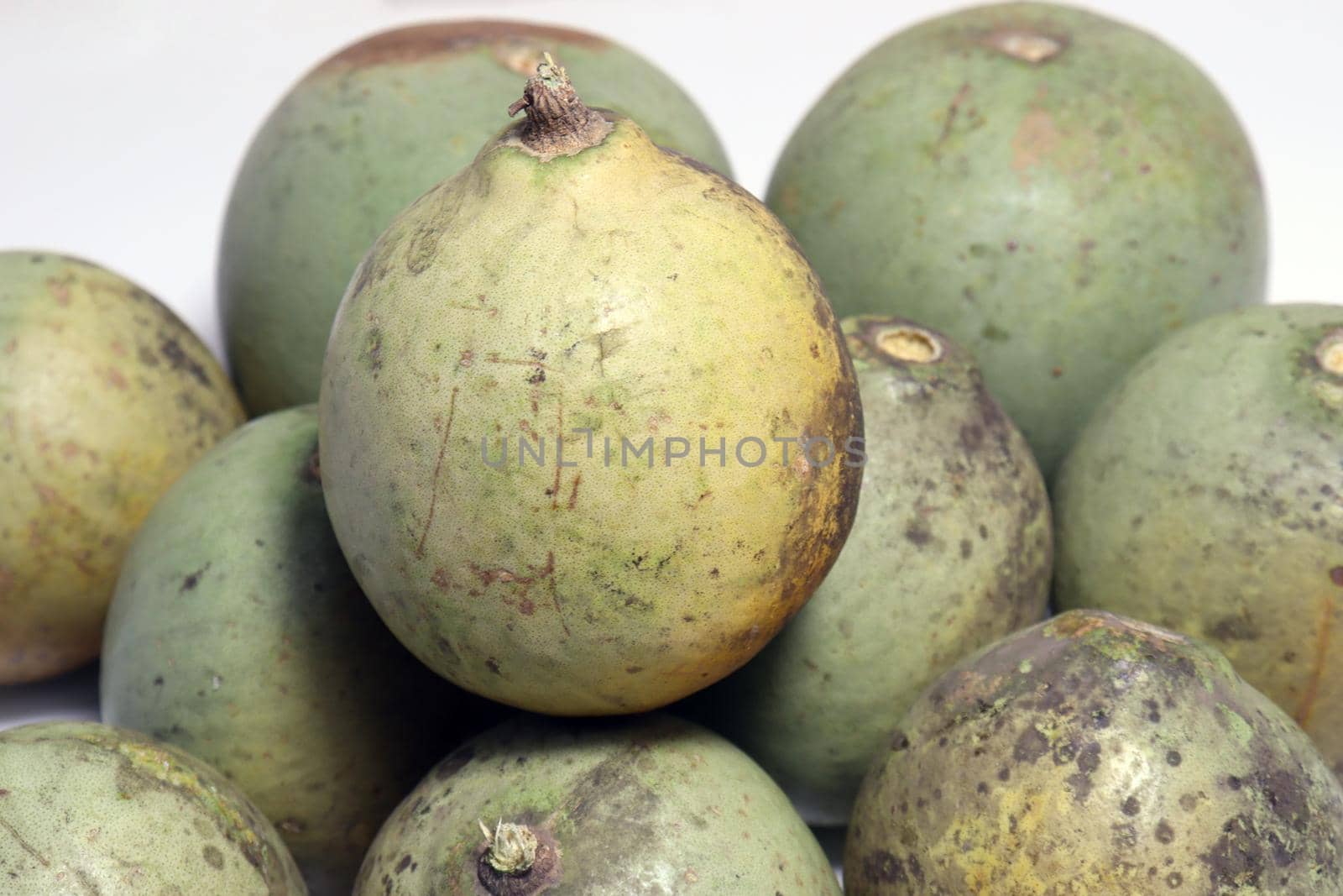 green colored ripe wood apple stock on shop for sell