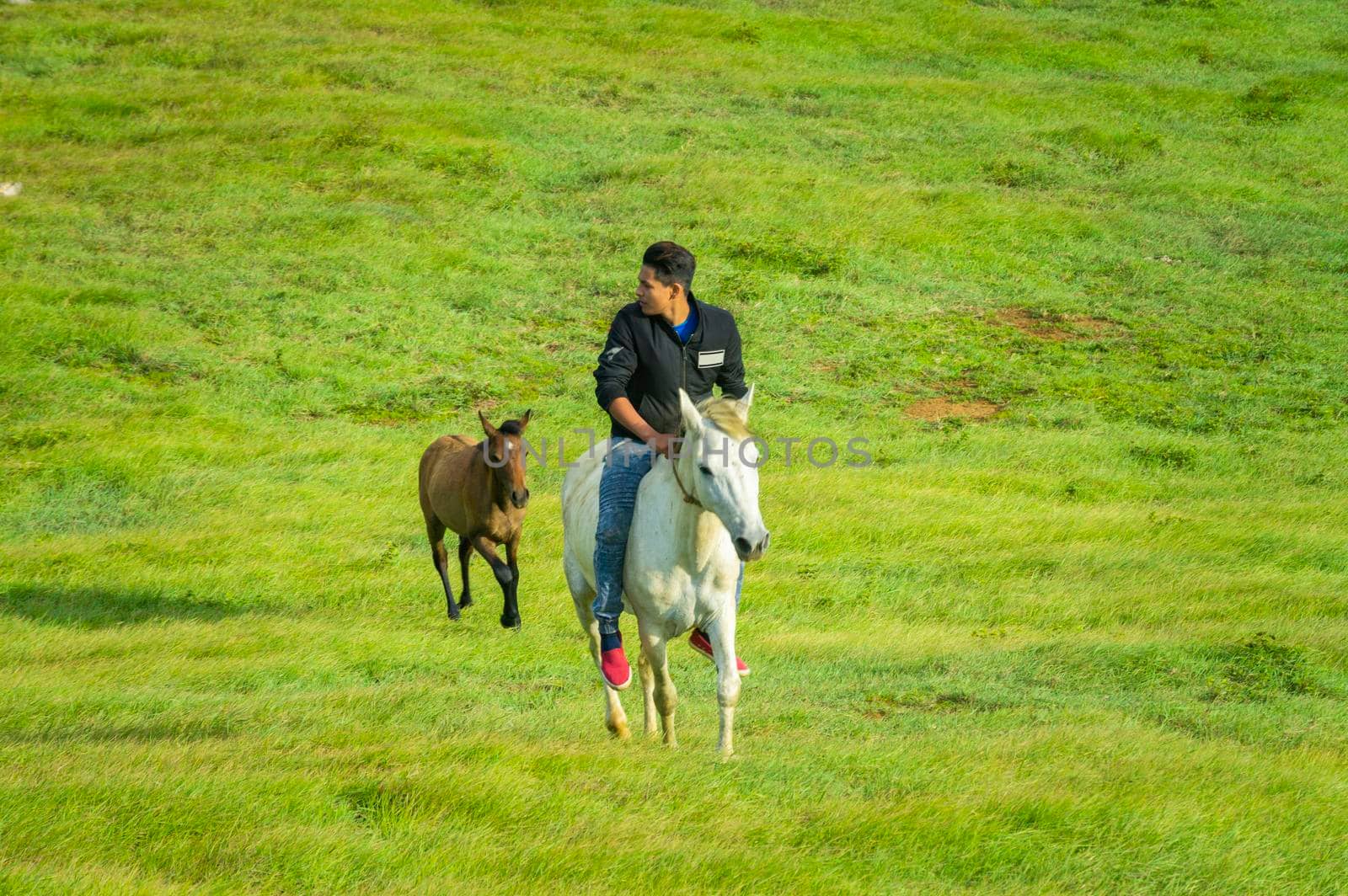 Young man in the field riding horse, A man riding horse in the field and pointing, riding a beautiful horse in the field by isaiphoto
