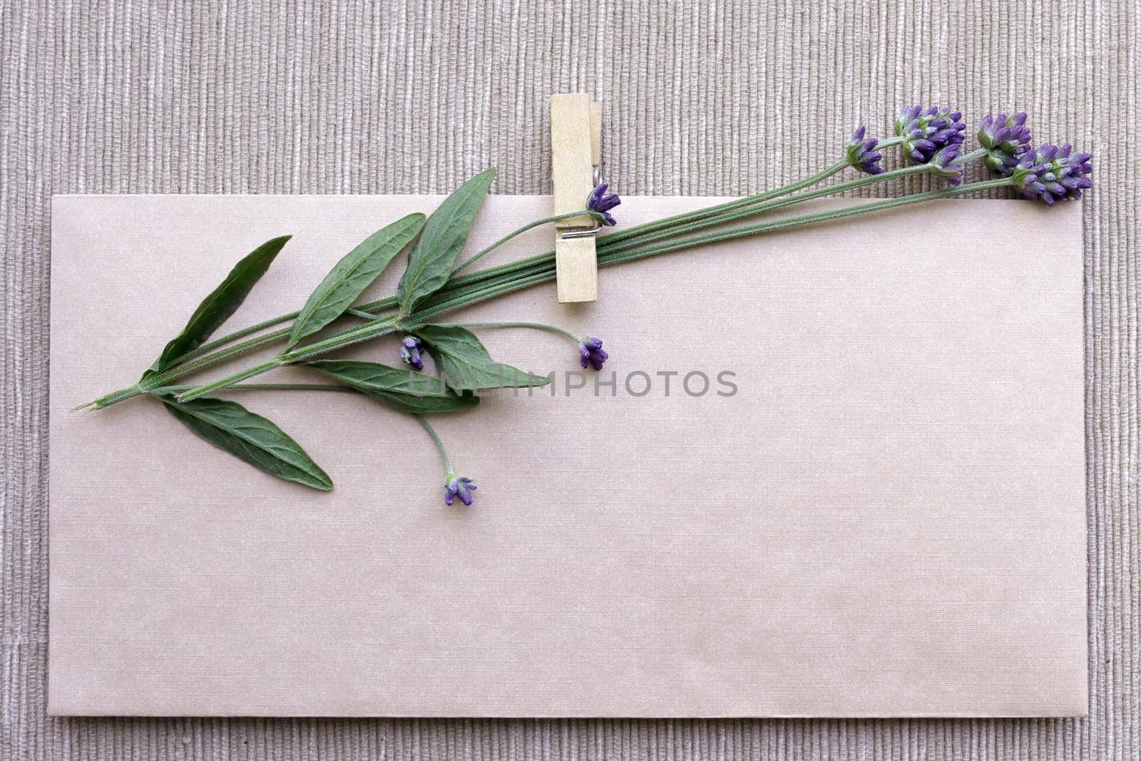 small bouquet of dry lavender on a vintage-style craft envelope. Happy Birthday, Valentine's day, wedding, Mother's Day greeting card concept. copy space by Proxima13