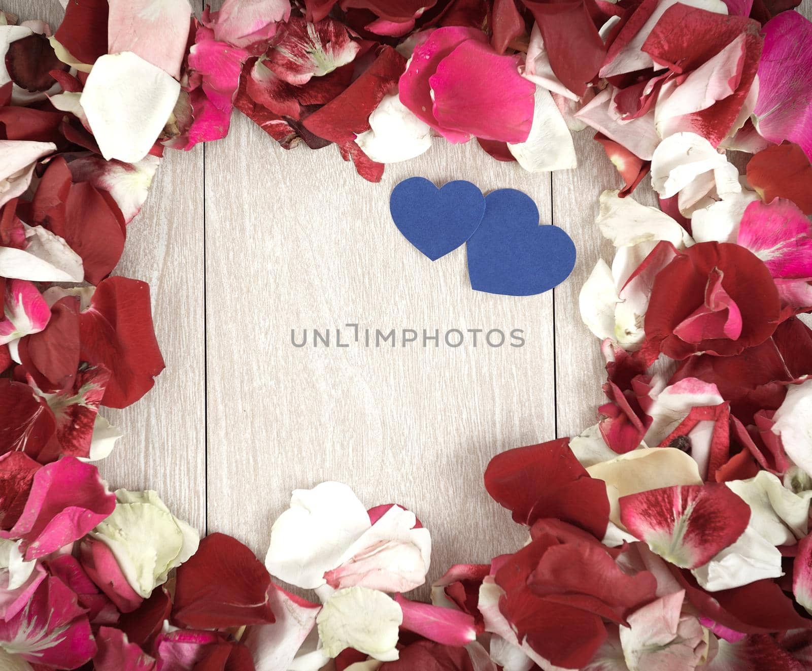 two blue hearts in a frame of rose petals on a wooden background by SmartPhotoLab