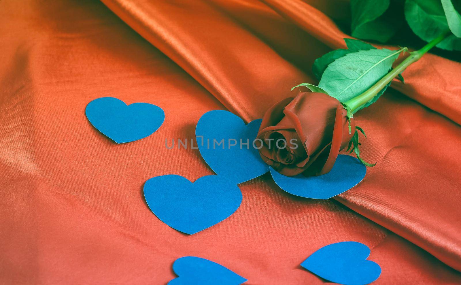 red rose and blue hearts on red background by SmartPhotoLab