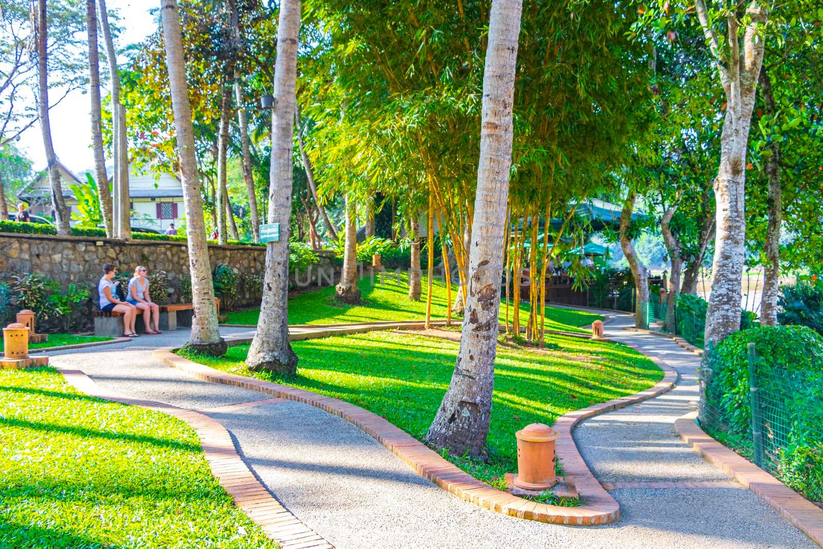 Luang Prabang Laos 18. November 2018 Natural riverview Park and jungle panorama of the landscape Mekong river and Luang Prabang city in Laos world tour in Southeast Asia.