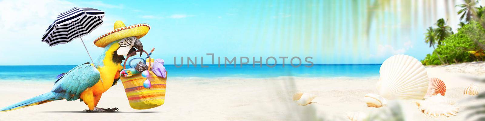 Parrot on sandy beach near sea. Beach holiday background.