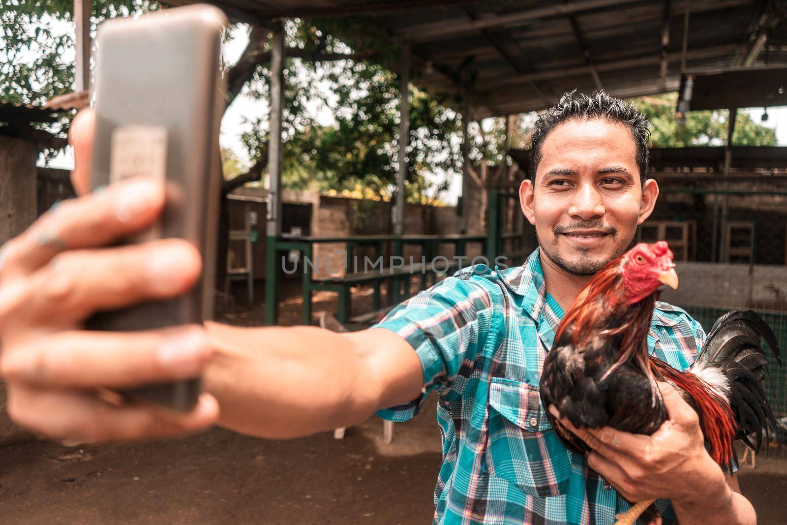 Fighting cock trainer taking a selfie with his cell phone in a fighting arena by cfalvarez