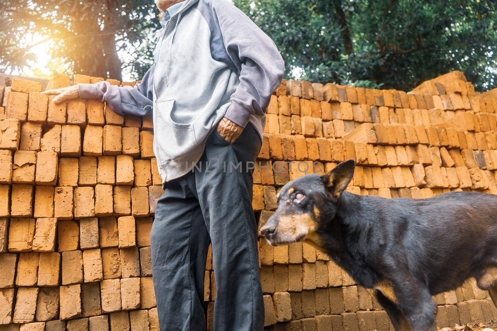 Unrecognizable elderly Latino man leaning on a pile of mud bricks with his blind dog by his side by cfalvarez